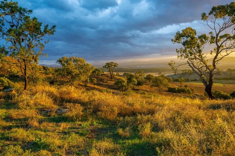 Supervivencia en la naturaleza: lo esencial para empezar